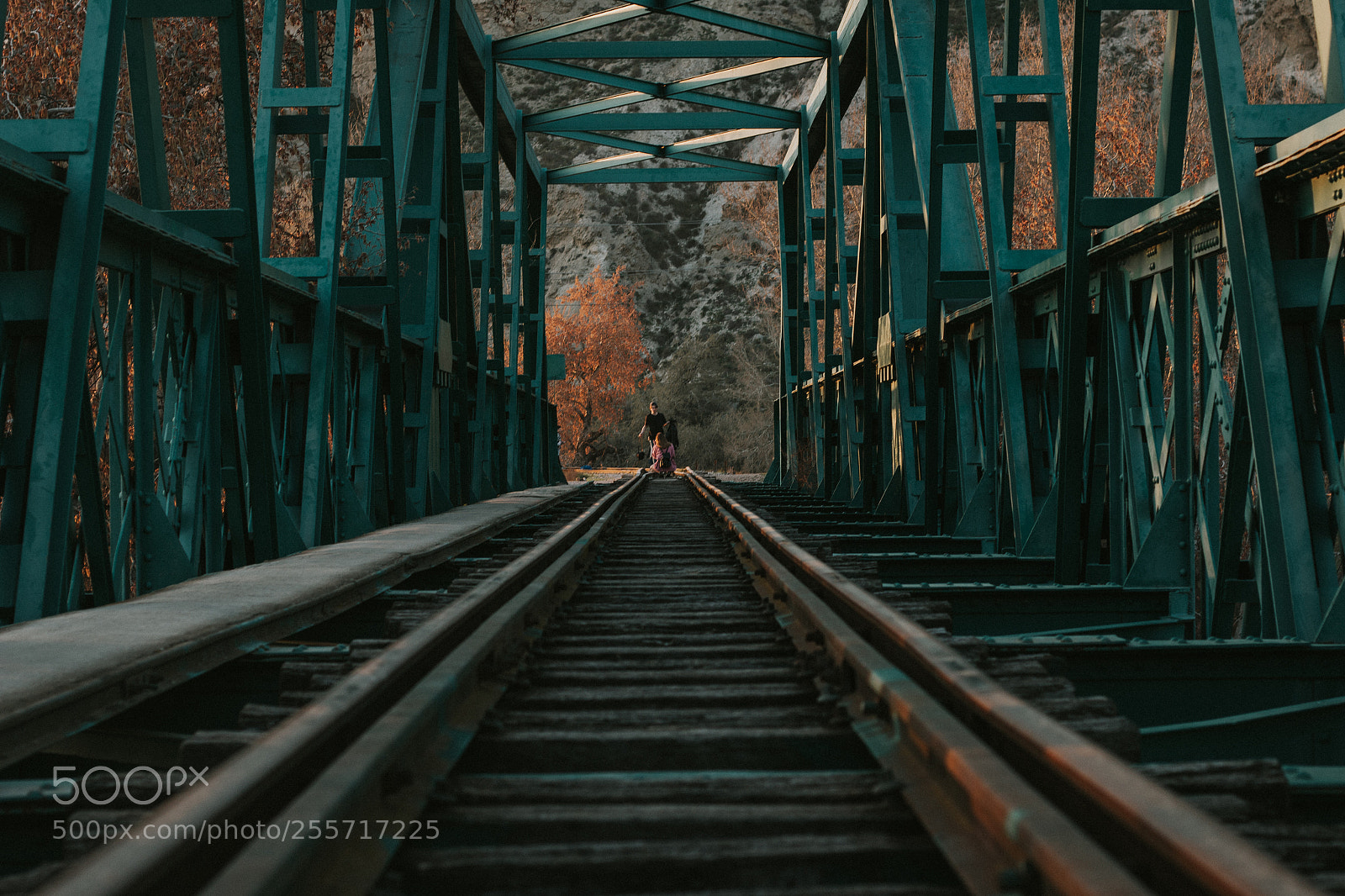 Canon EOS 70D sample photo. Bridge photography