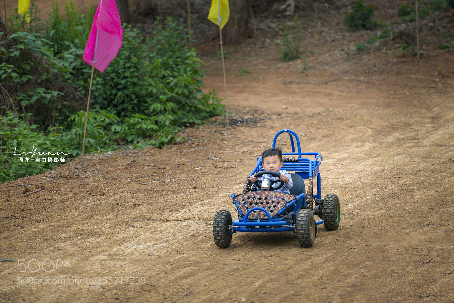 Nikon D800E sample photo. Untitled photography