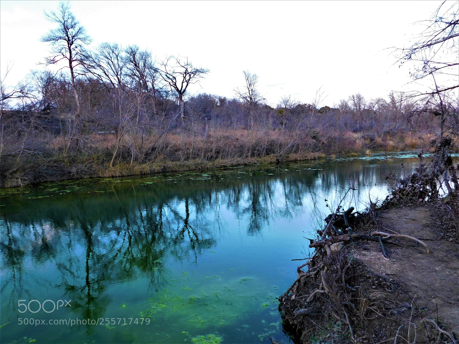 Nikon Coolpix B500 sample photo. () photography