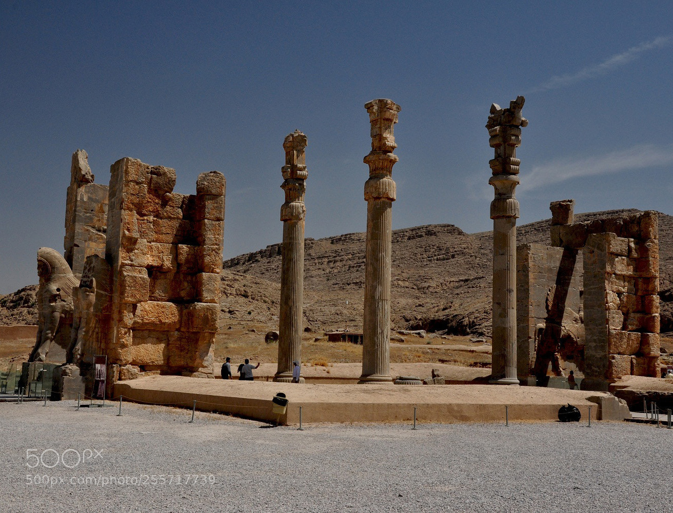 Nikon D90 sample photo. Perspolis- iran photography