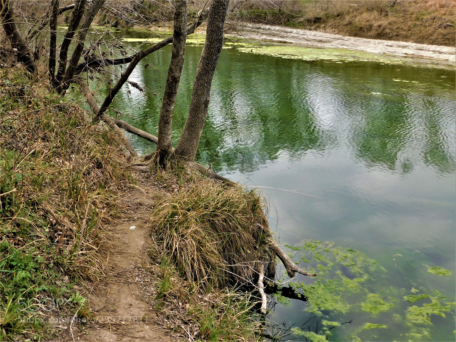 Nikon Coolpix B500 sample photo. () photography