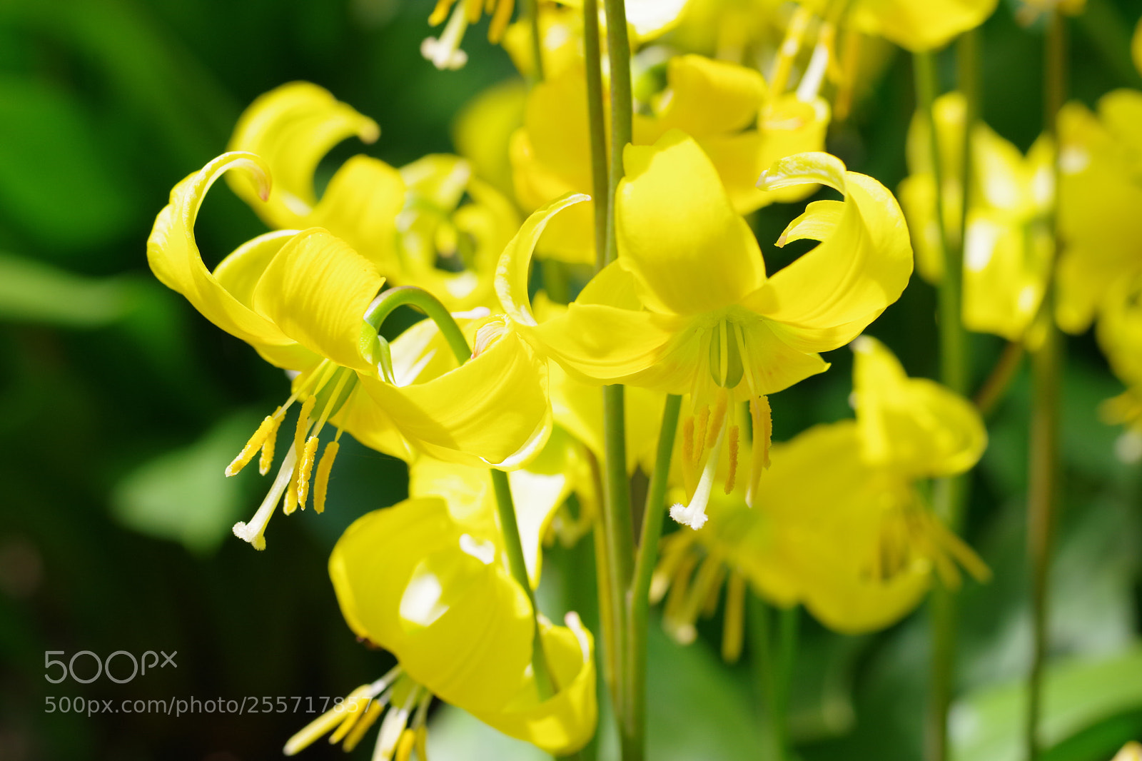 Pentax K-70 sample photo. Untitled photography