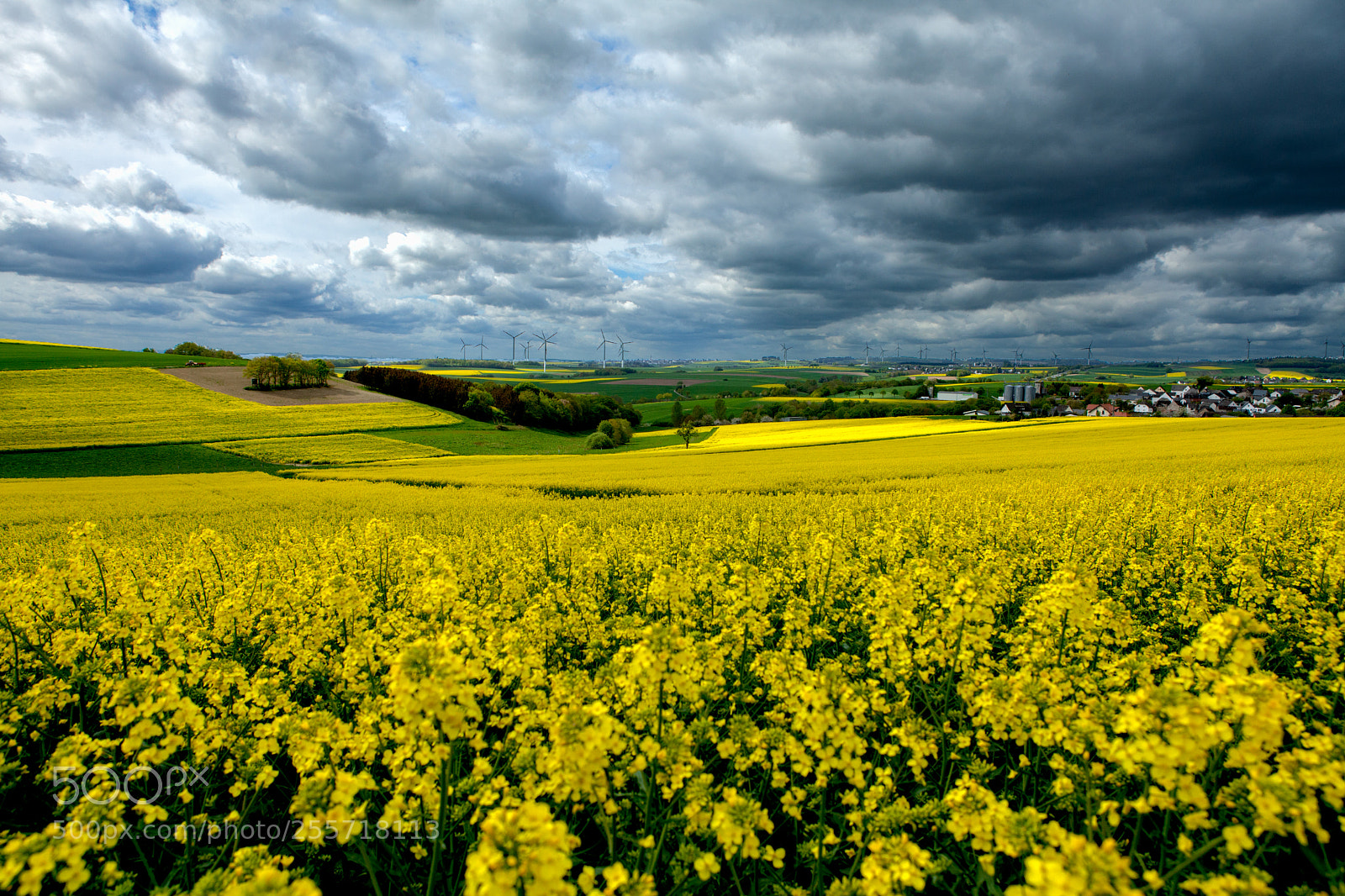 Canon EOS 5D Mark II sample photo. German farmlands photography