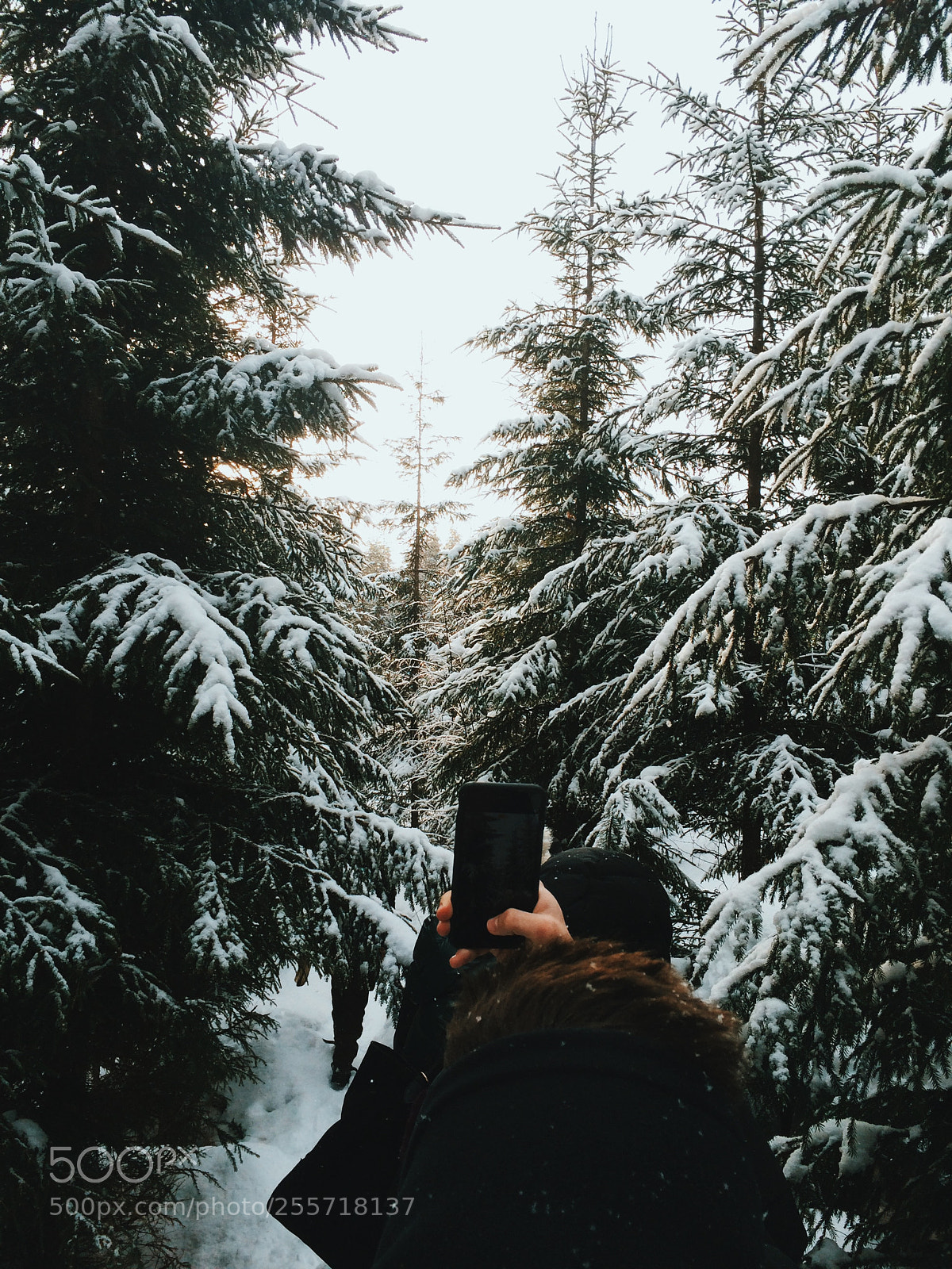 Apple iPhone 5s sample photo. Processed with vsco with photography