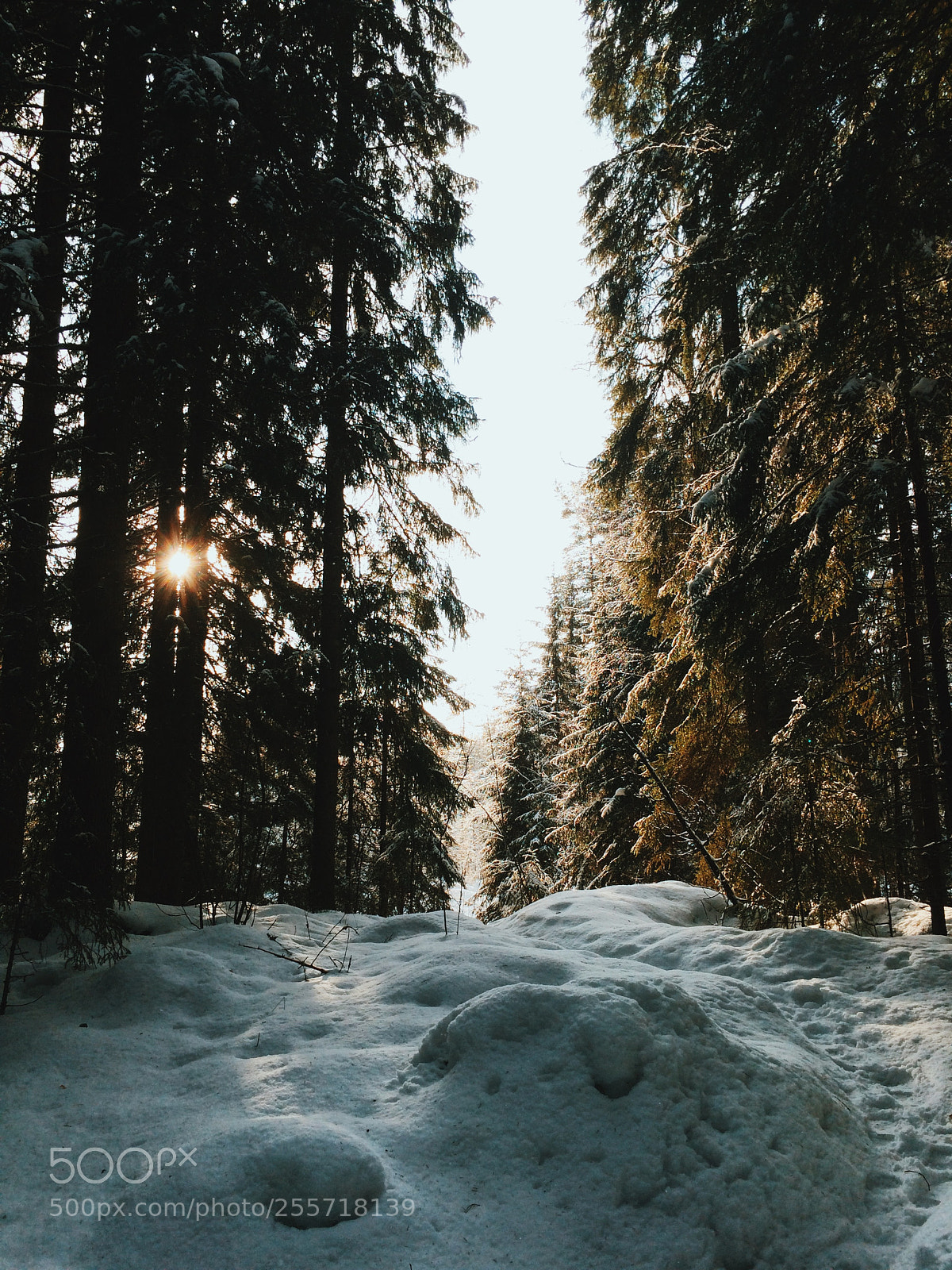 Apple iPhone 5s sample photo. Processed with vsco with photography
