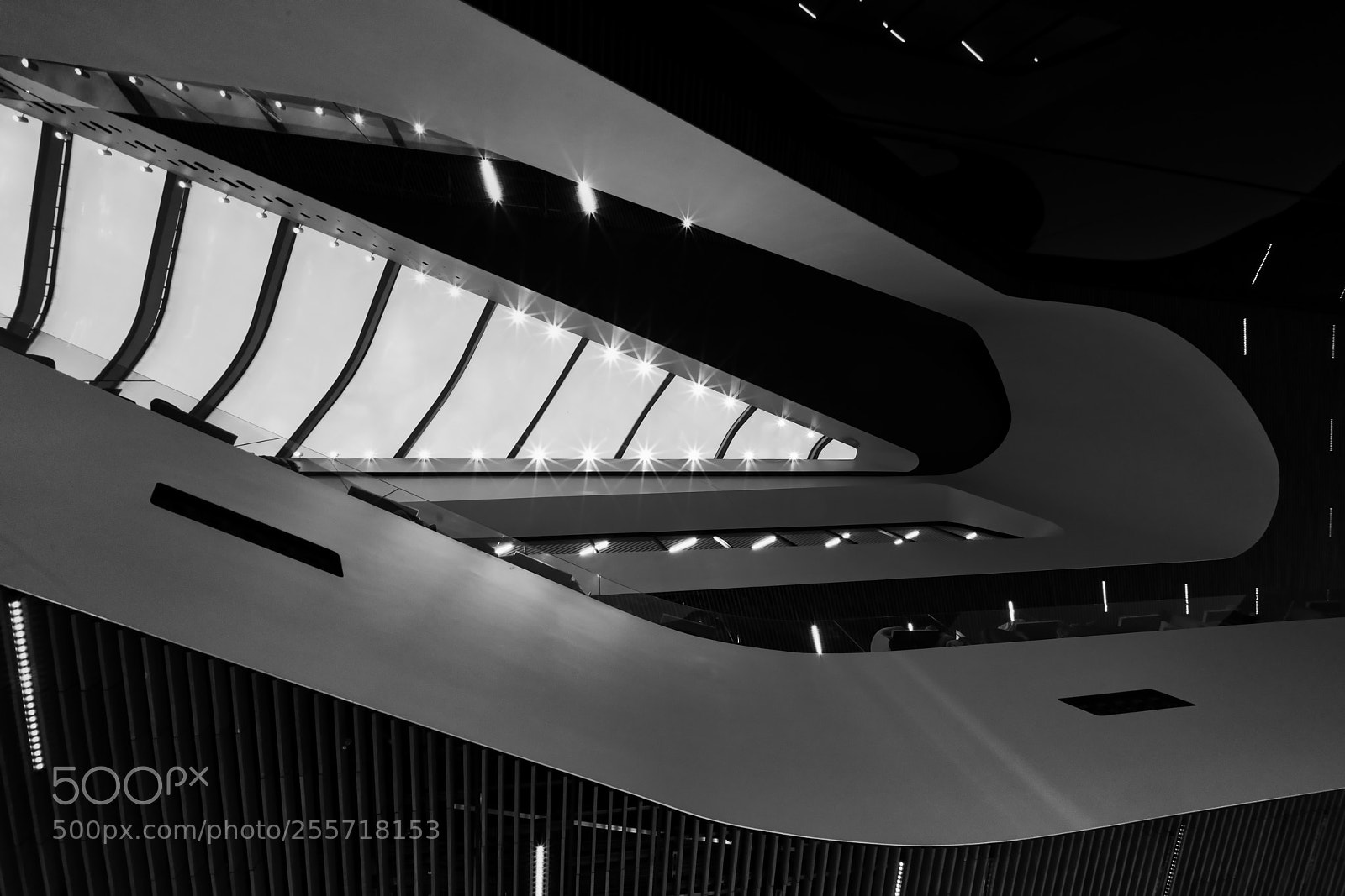 Sony a7R III sample photo. From below photography