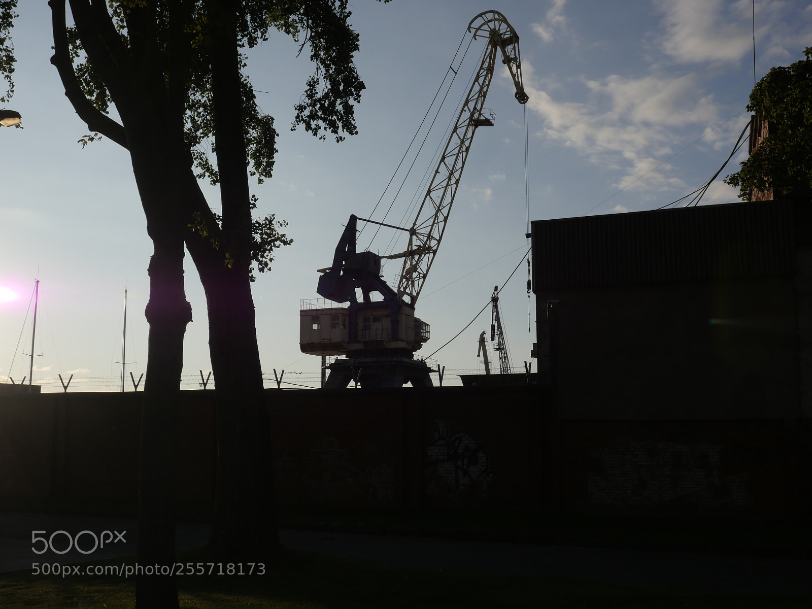 Panasonic Lumix DMC-GH4 sample photo. B () photography