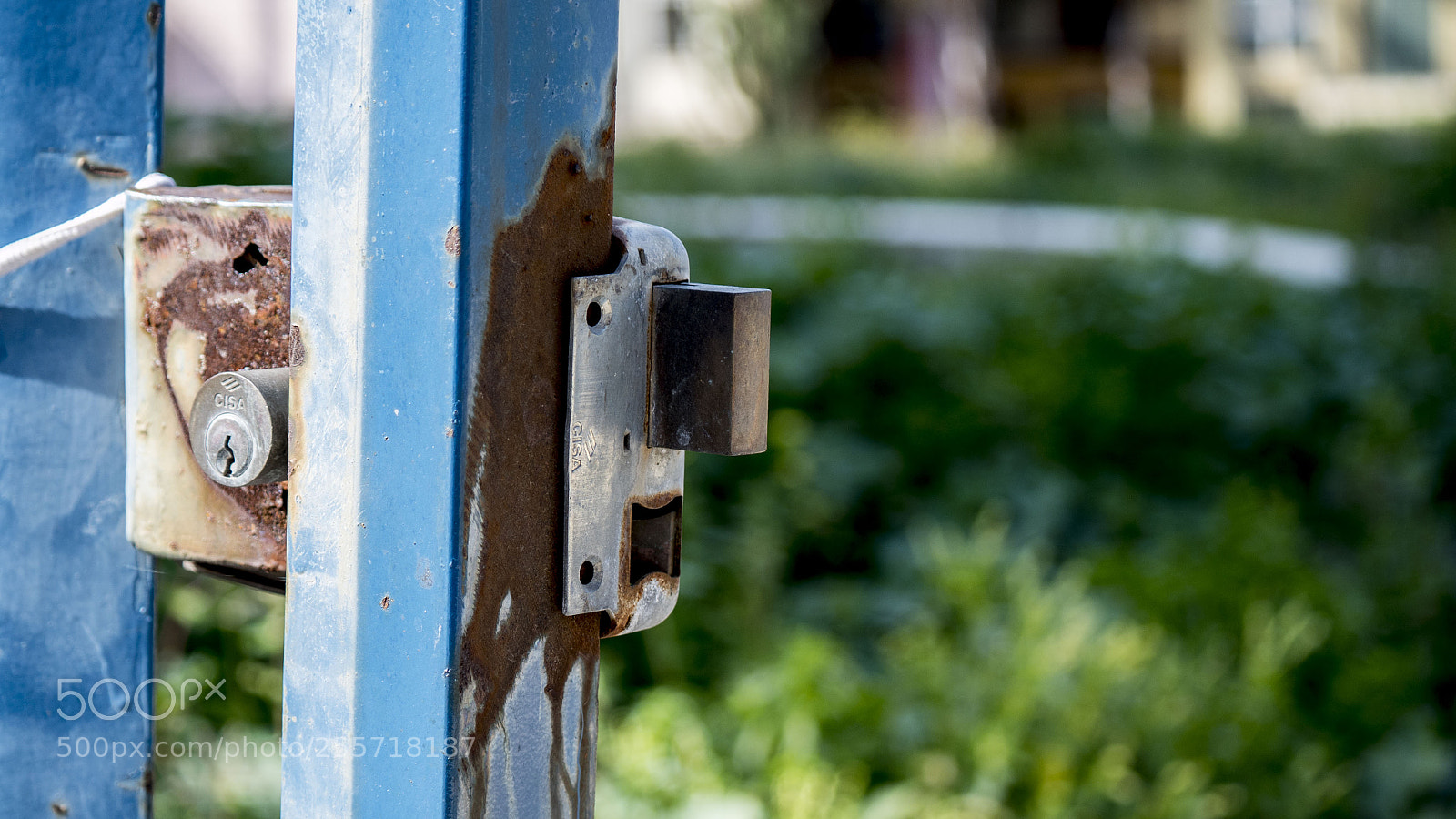 Panasonic Lumix DMC-GH4 sample photo. B () photography