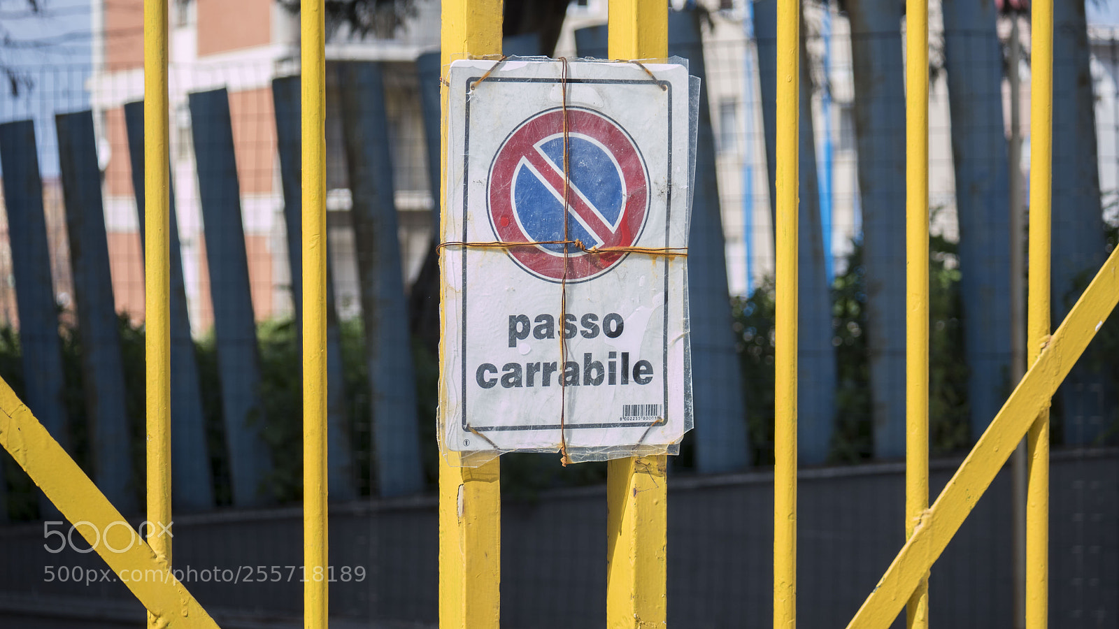 Panasonic Lumix DMC-GH4 sample photo. B () photography