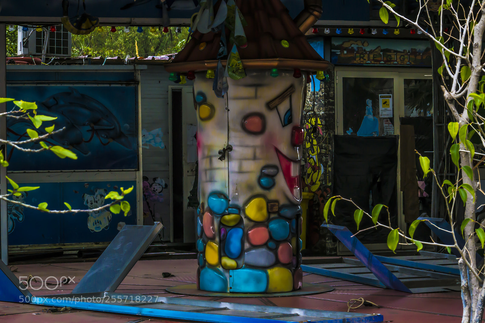 Nikon D3100 sample photo. B () photography