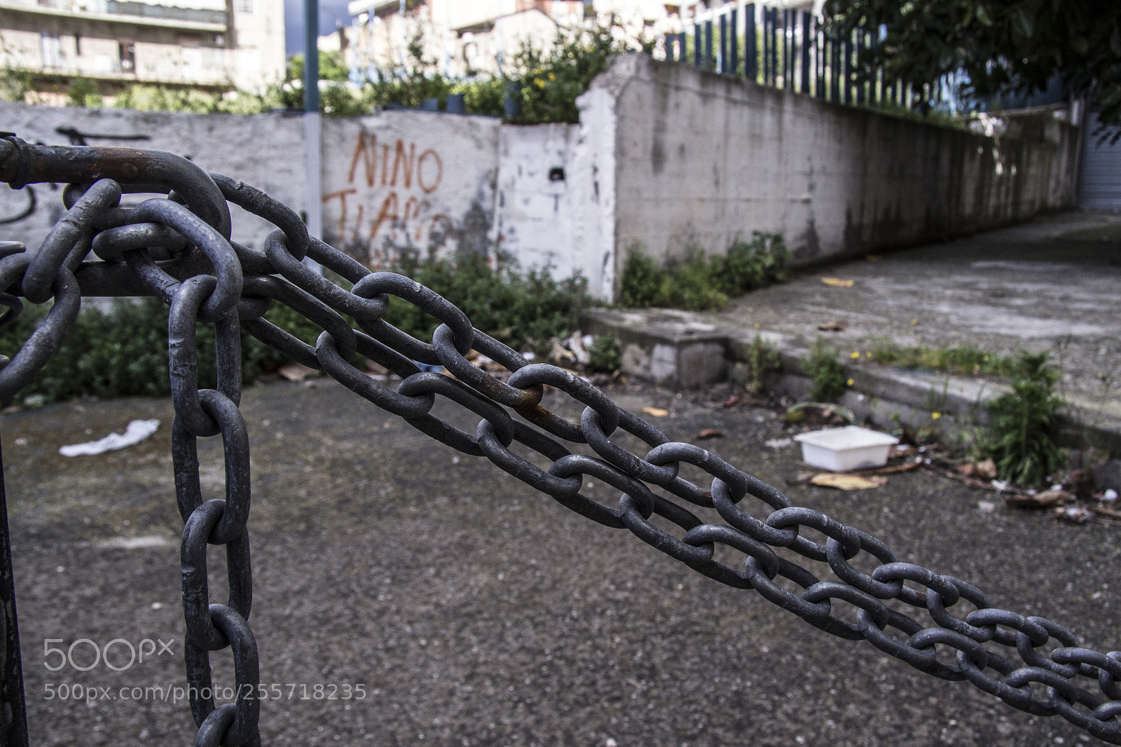 Canon EOS 600D (Rebel EOS T3i / EOS Kiss X5) sample photo. B () photography