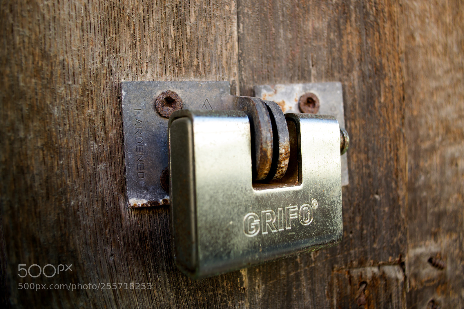 Nikon D3100 sample photo. B () photography