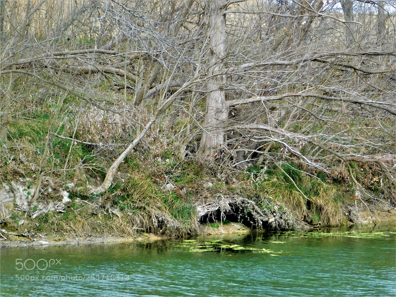 Nikon Coolpix B500 sample photo. () photography