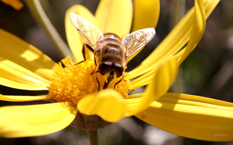 Samsung NX30 sample photo. ... photography