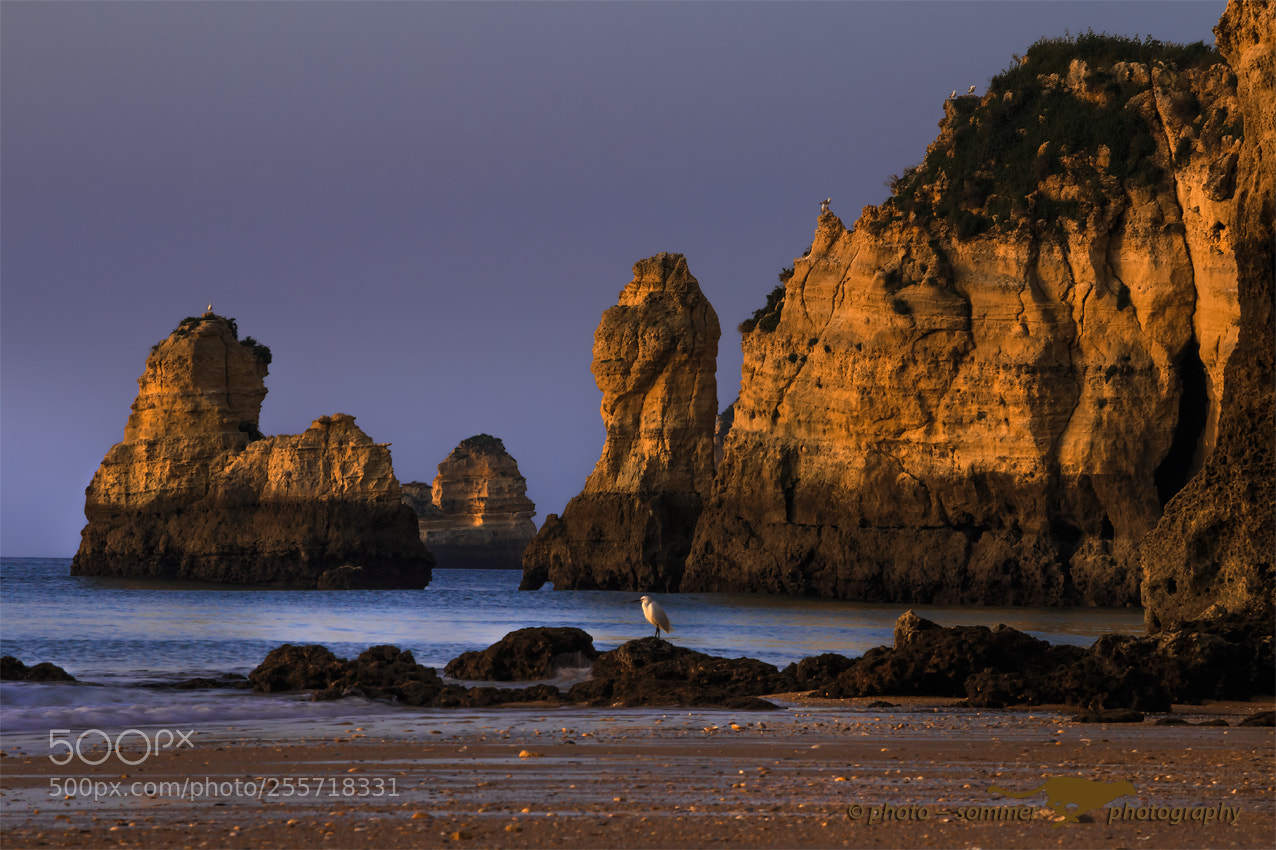 Canon EOS 70D sample photo. Sunrise in the algarve photography