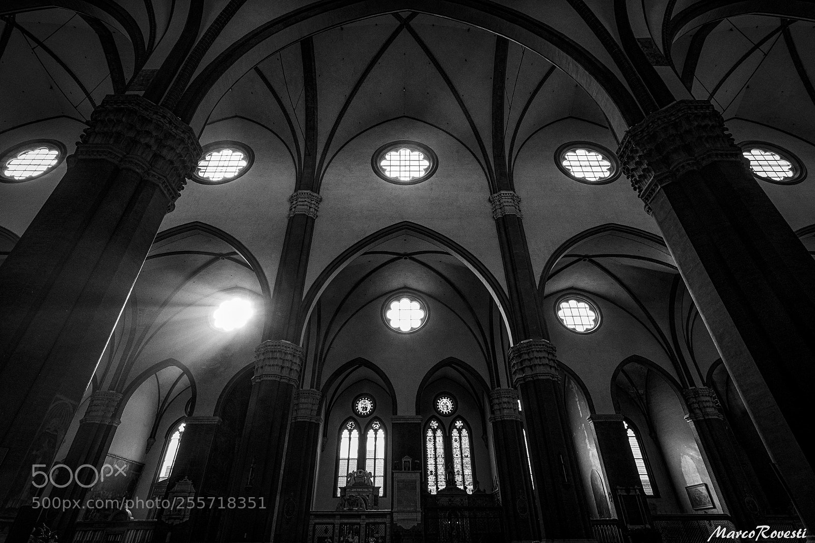 Nikon D500 sample photo. Gothic light (bologna) photography