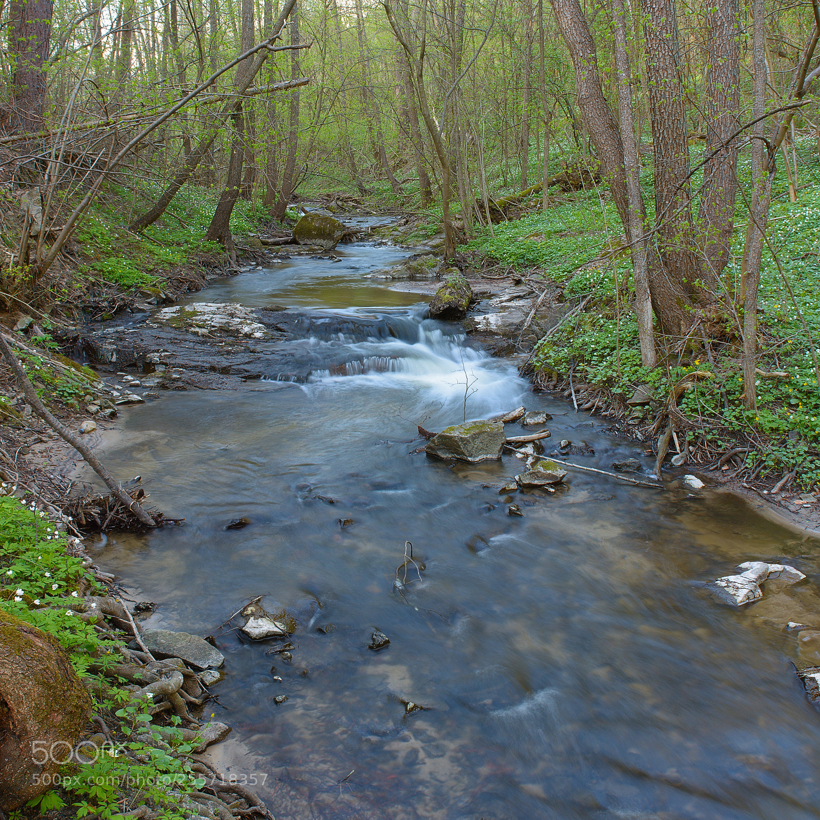 Nikon D7100 sample photo. Spring river photography