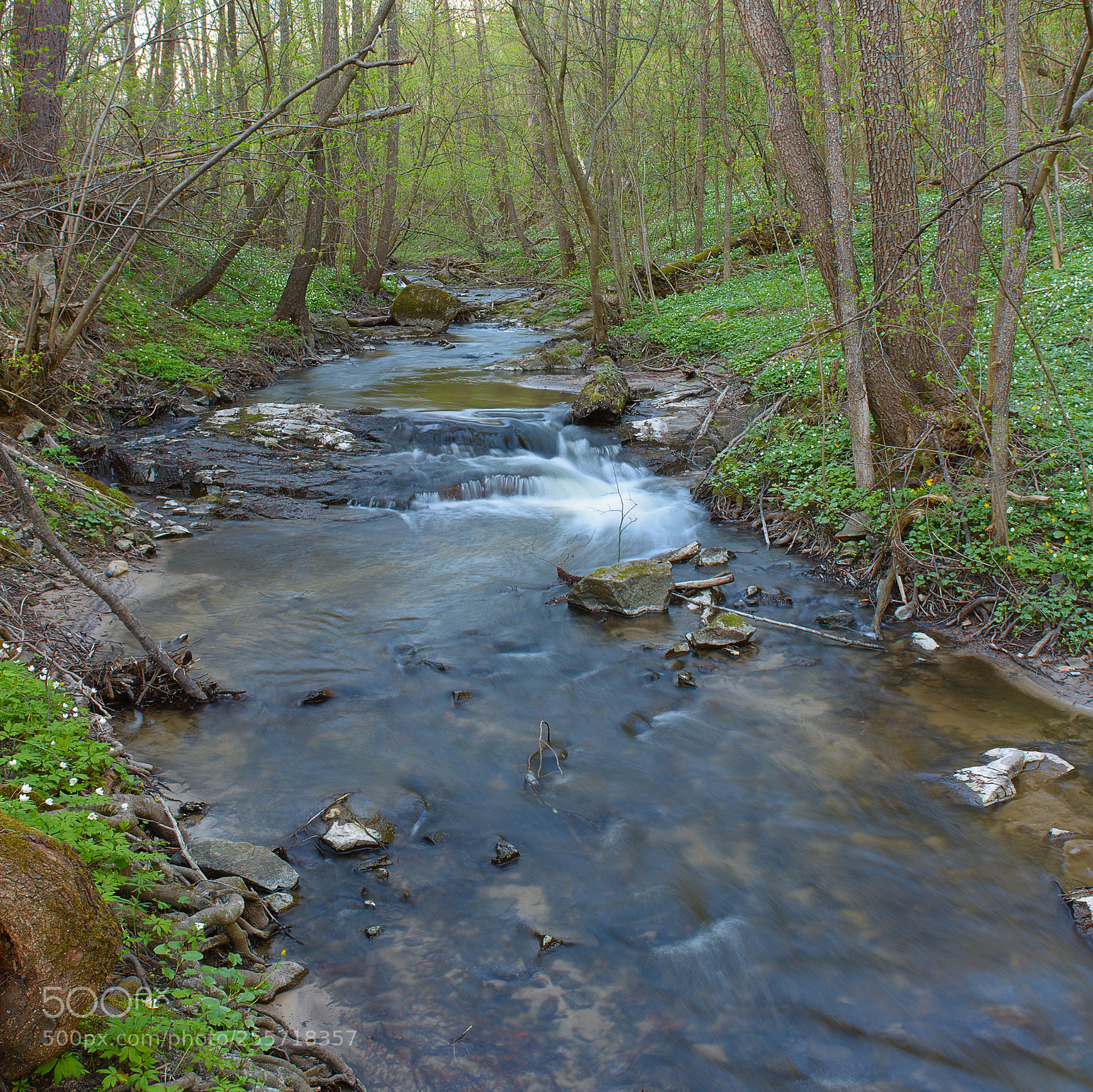 Nikon D7100 sample photo. Spring river photography