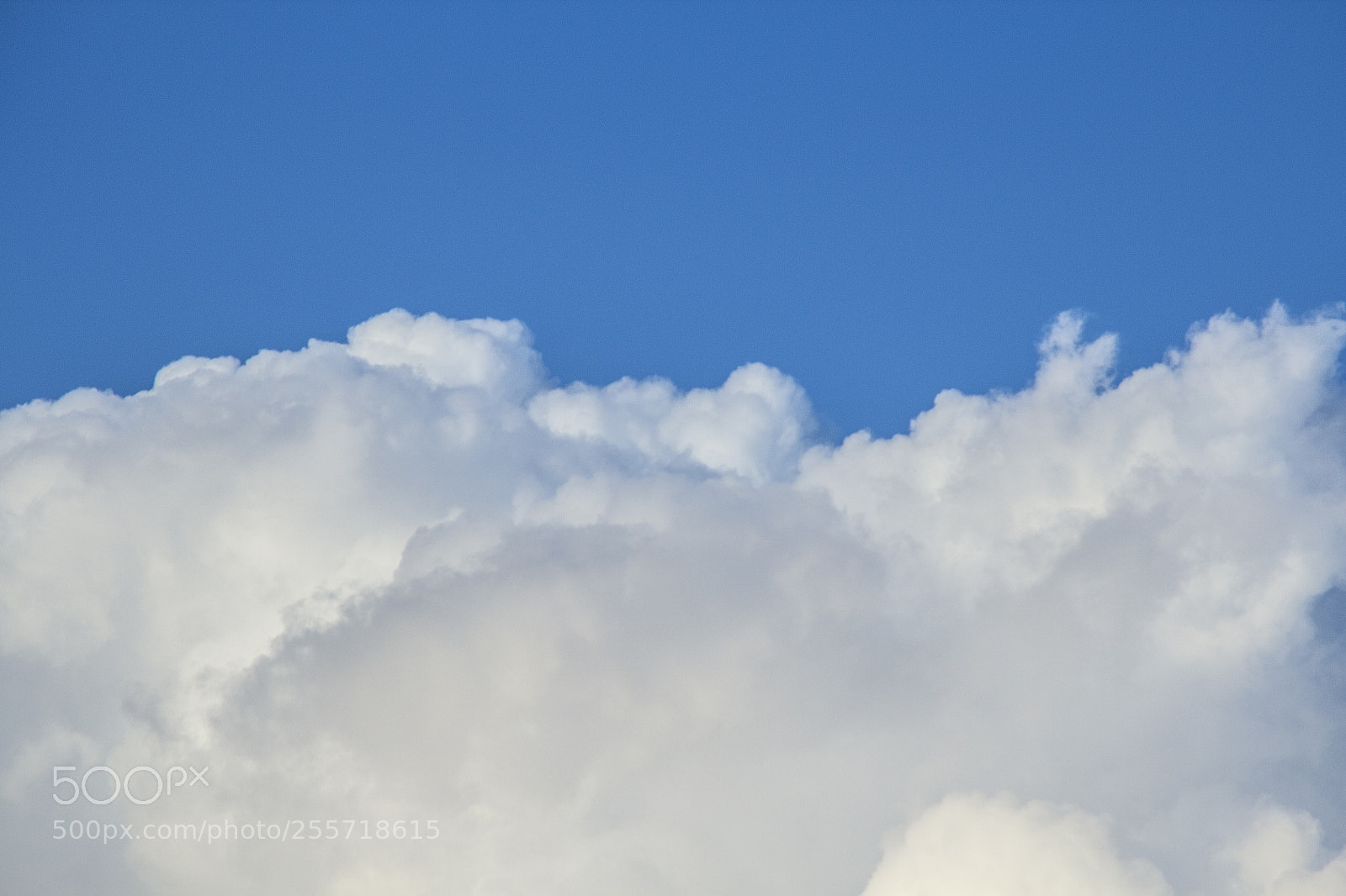 Canon EOS 600D (Rebel EOS T3i / EOS Kiss X5) sample photo. B () photography