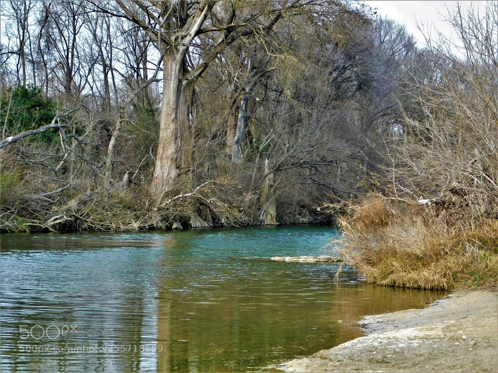 Nikon Coolpix B500 sample photo. () photography