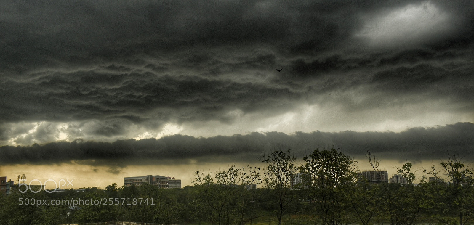 Nikon D5500 sample photo. Sky as canvas photography