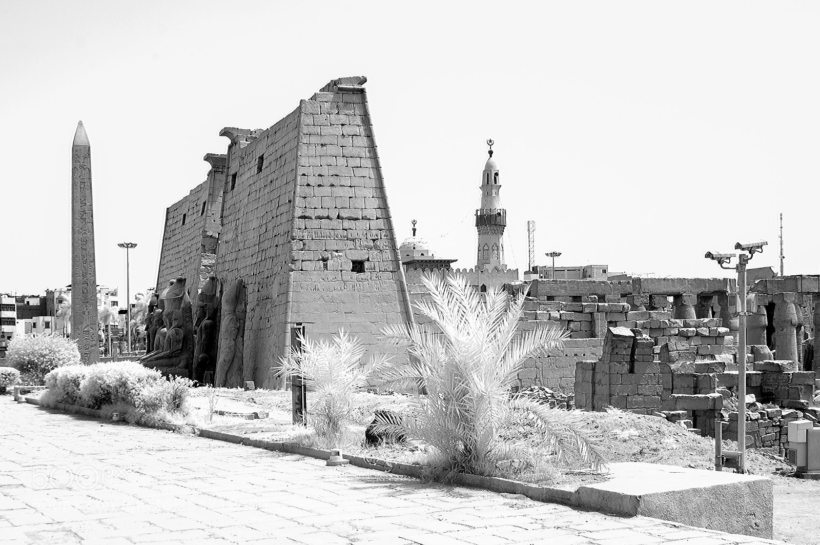 Nikon D90 sample photo. Luxor temple, egypt photography