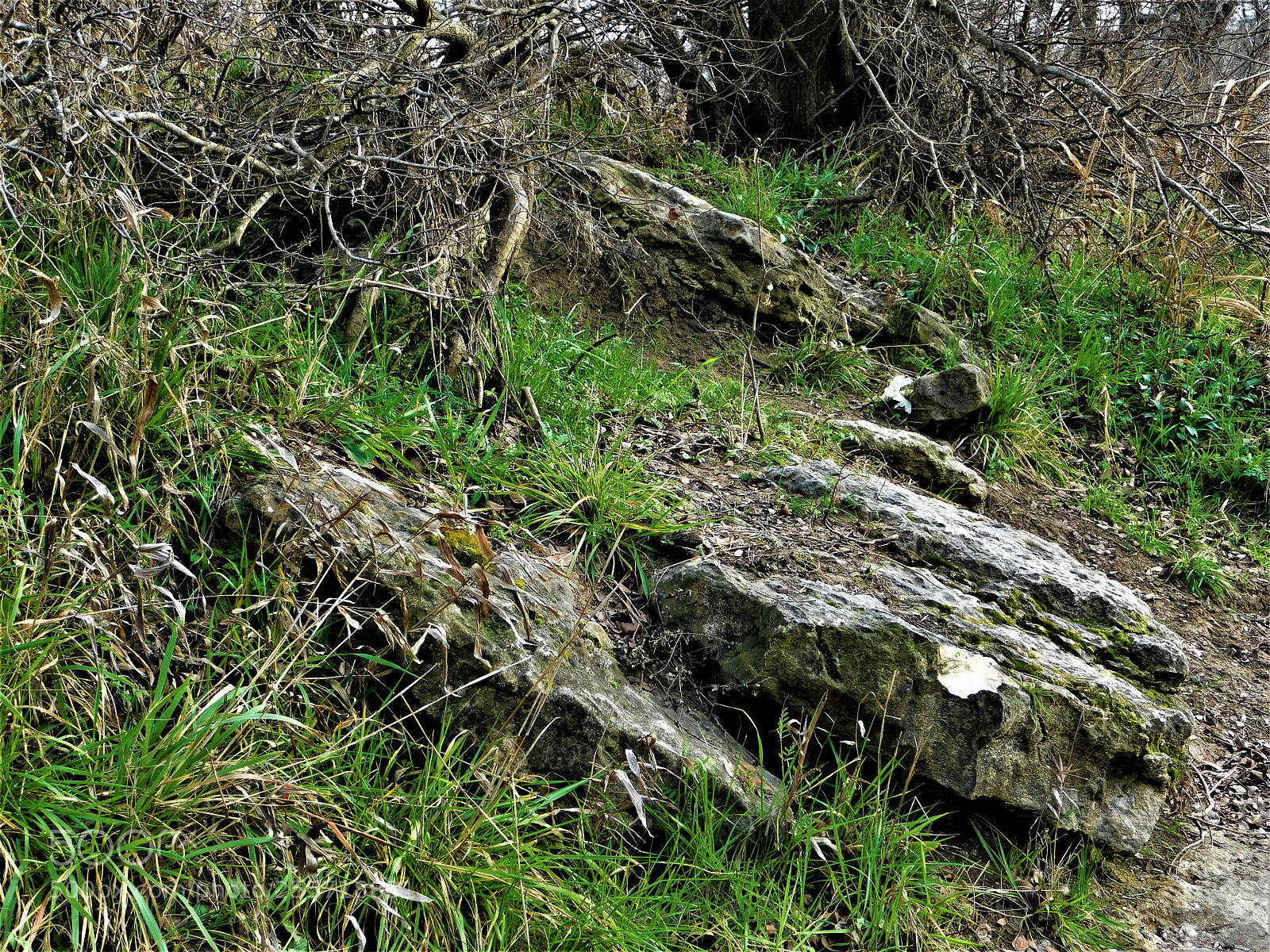 Nikon Coolpix B500 sample photo. () photography