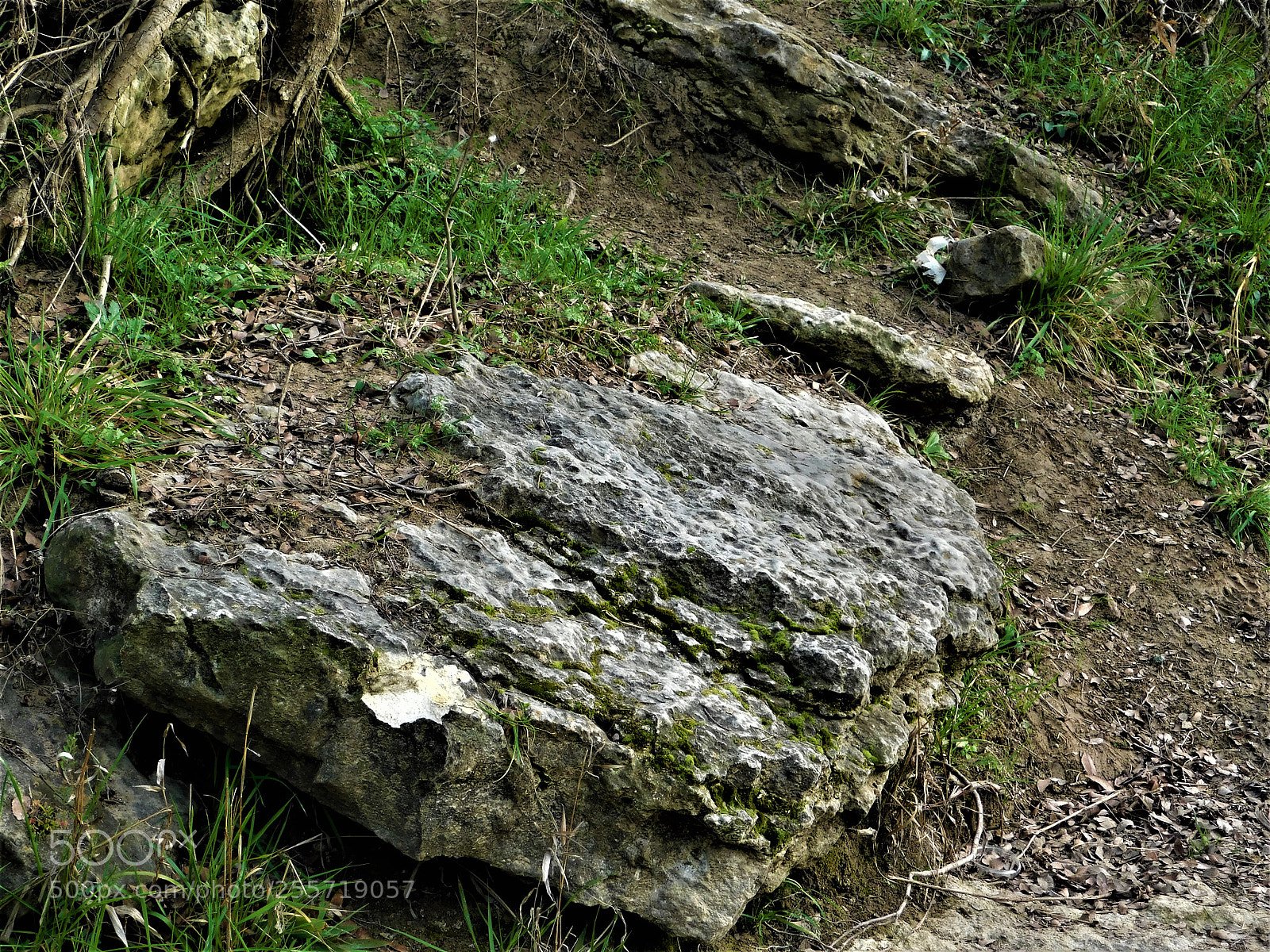 Nikon Coolpix B500 sample photo. () photography