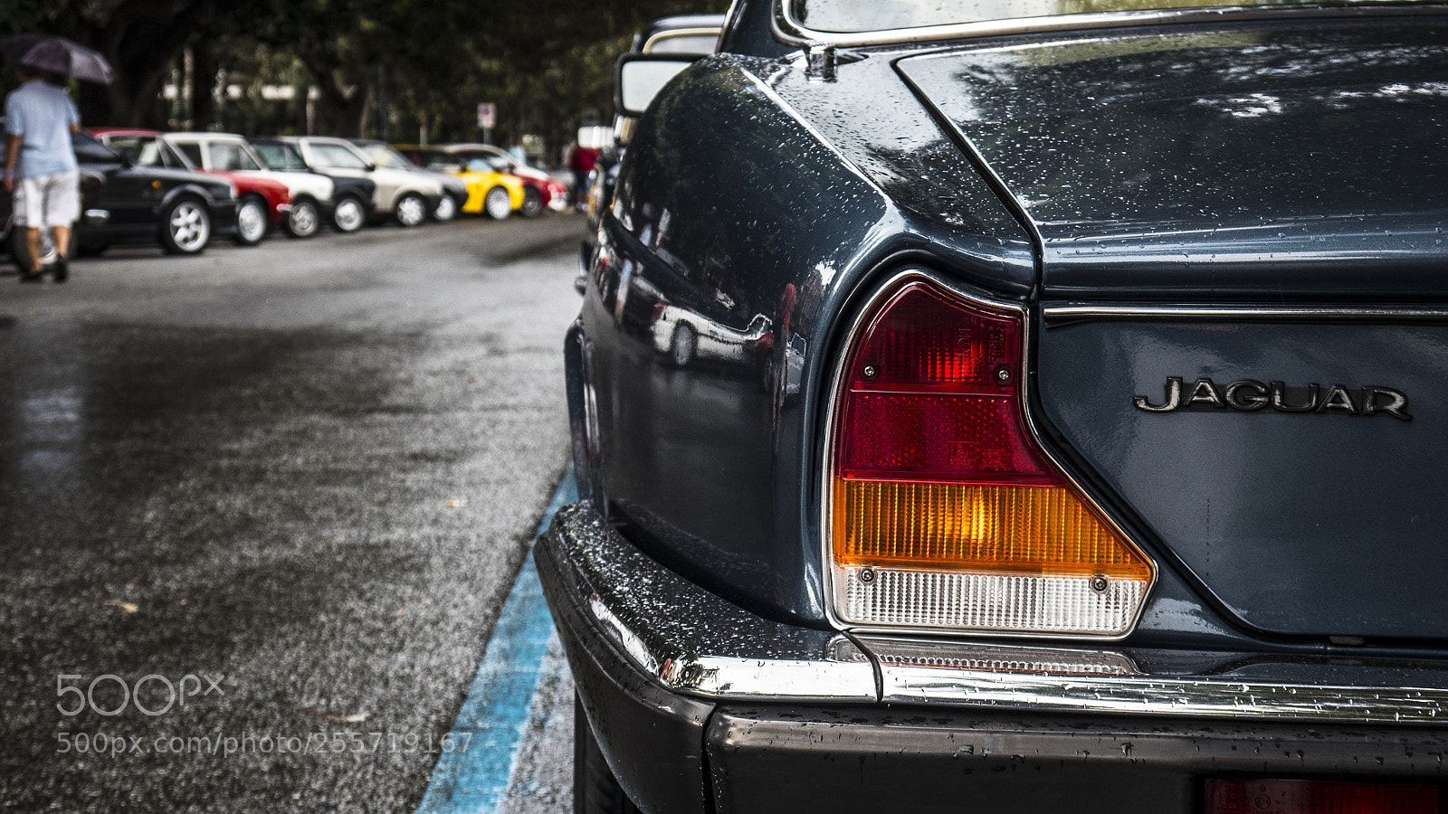Panasonic Lumix DMC-GH4 sample photo. B () photography