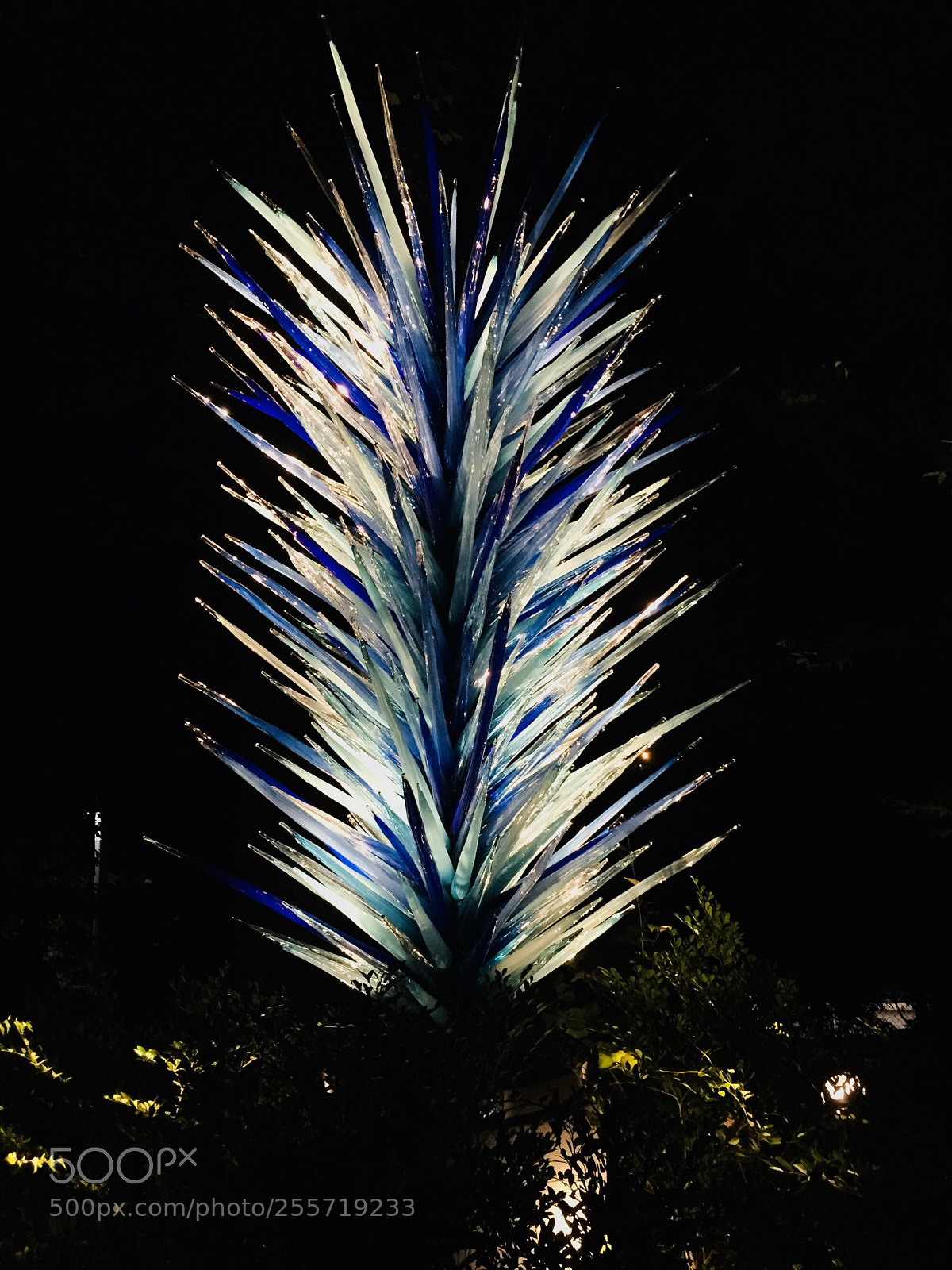 Apple iPhone 6 sample photo. Chihuly garden piece photography