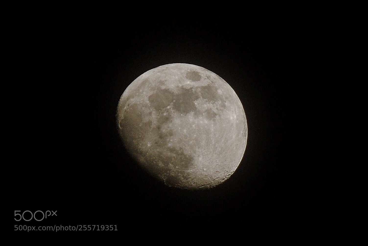 Nikon D3100 sample photo. Moon photography