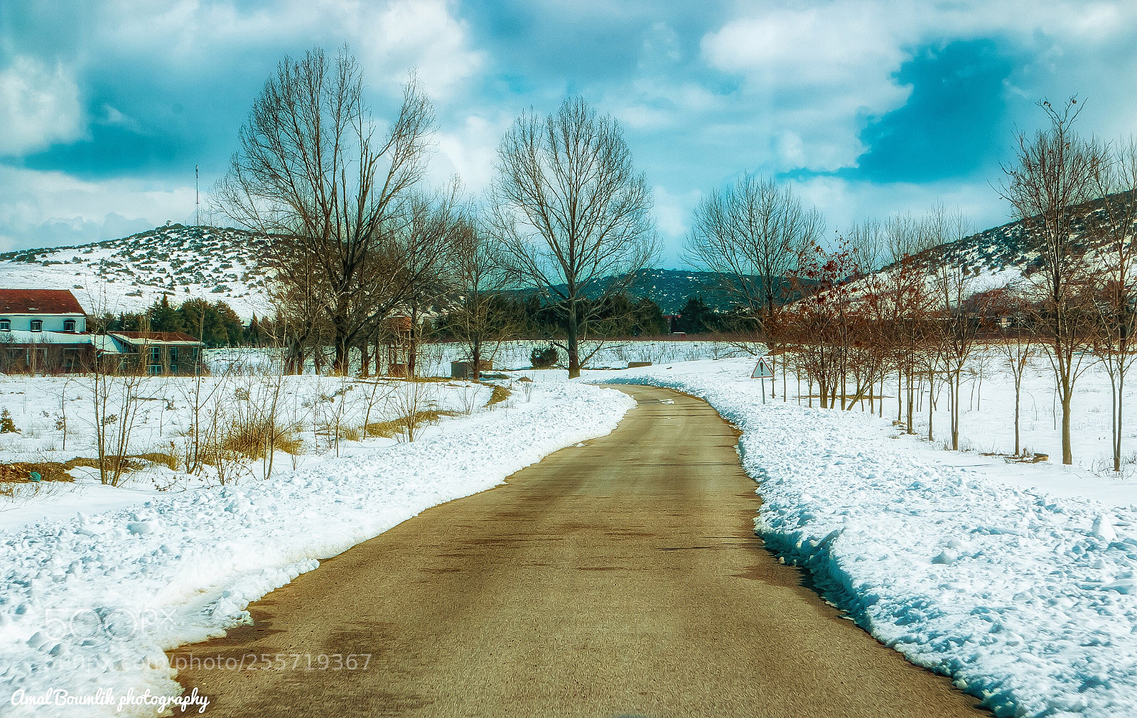 Canon EOS 70D sample photo. Fall of snow photography