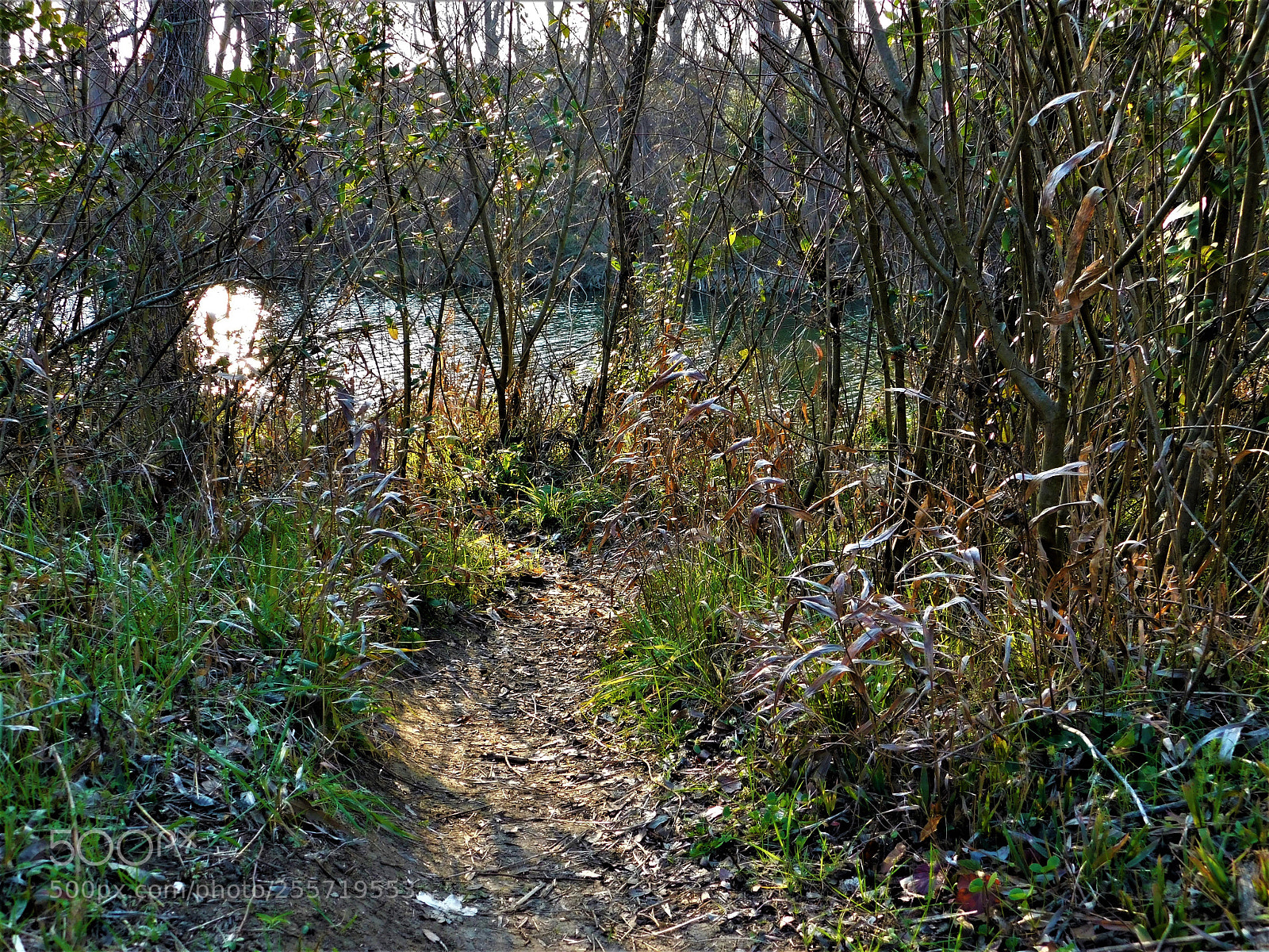 Nikon Coolpix B500 sample photo. () photography