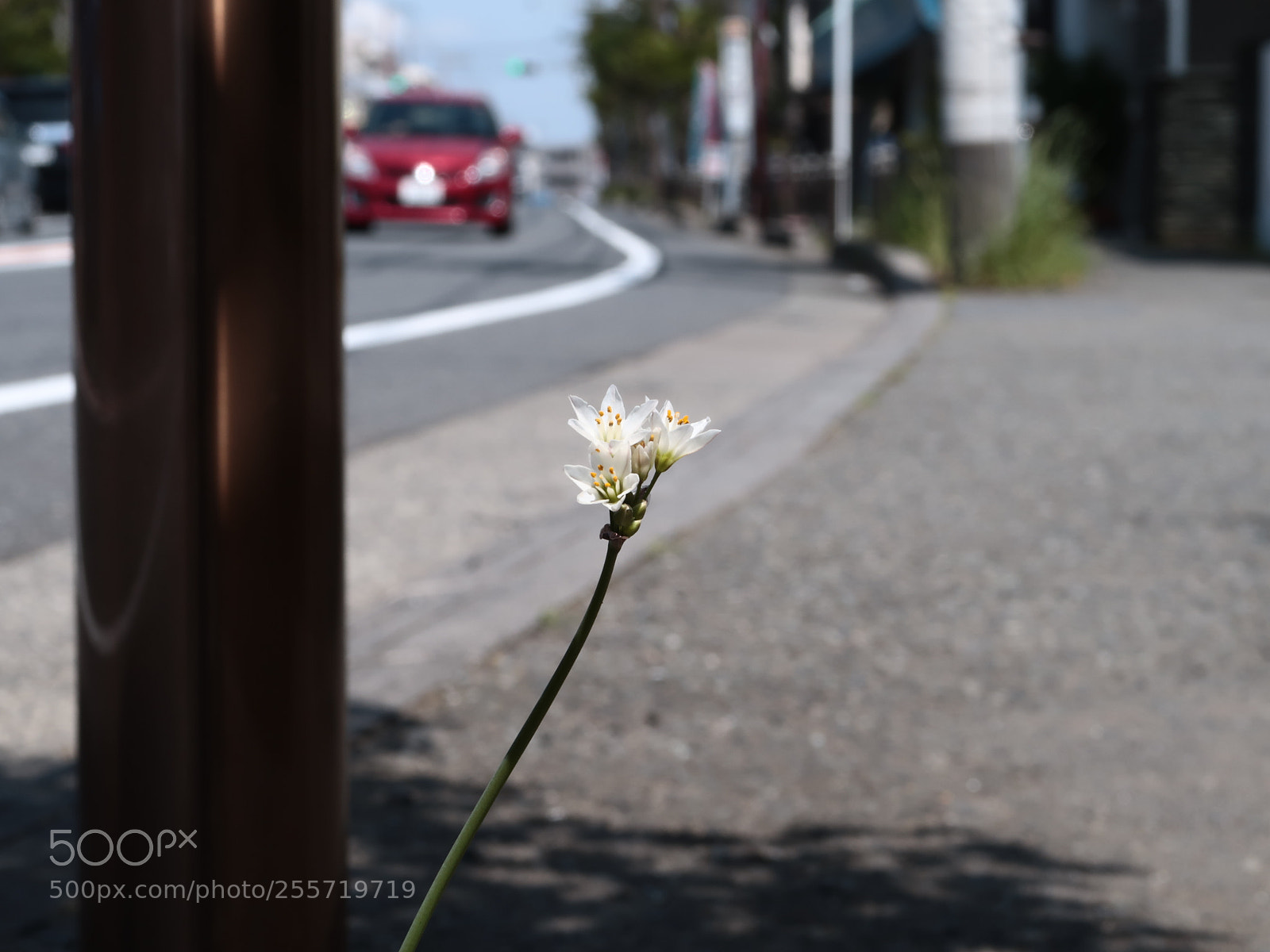 Canon PowerShot G7 X Mark II sample photo. Img photography