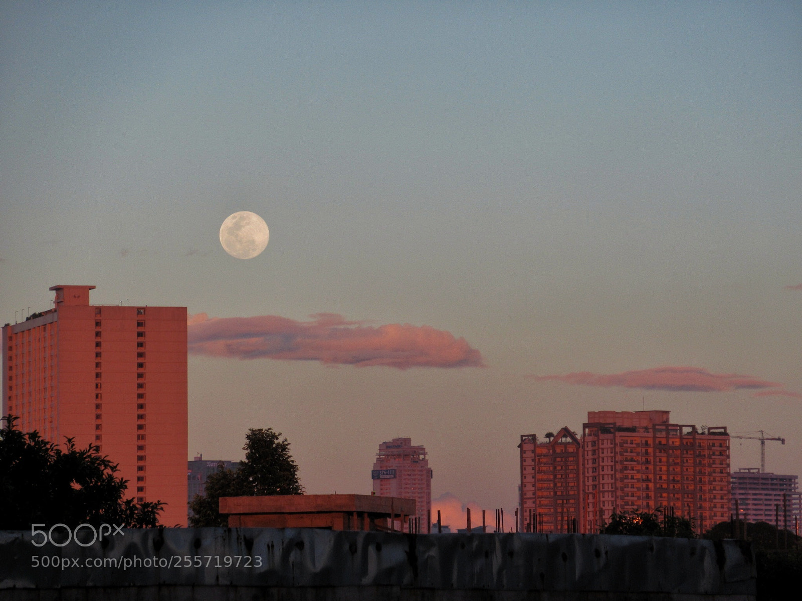 Canon PowerShot SX620 HS sample photo. Full moon (100%) photography