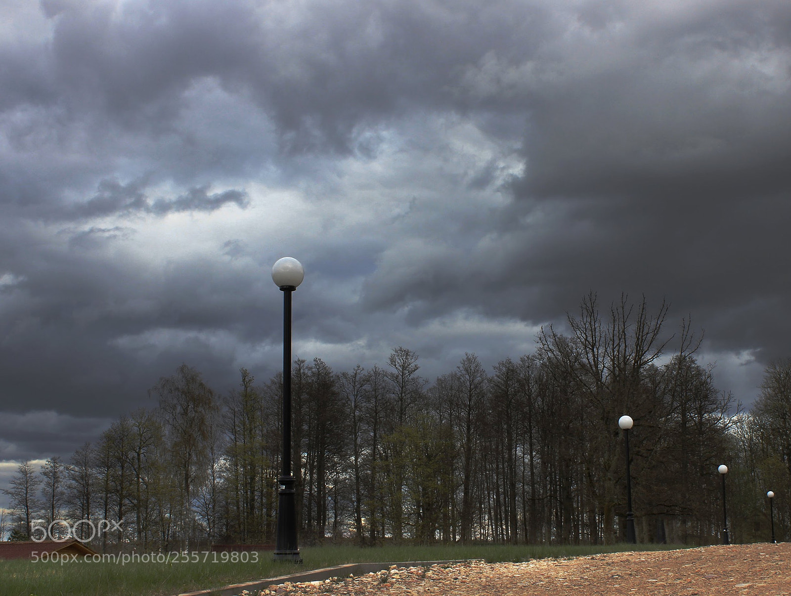 Canon EOS 600D (Rebel EOS T3i / EOS Kiss X5) sample photo. Cloudy day. photography