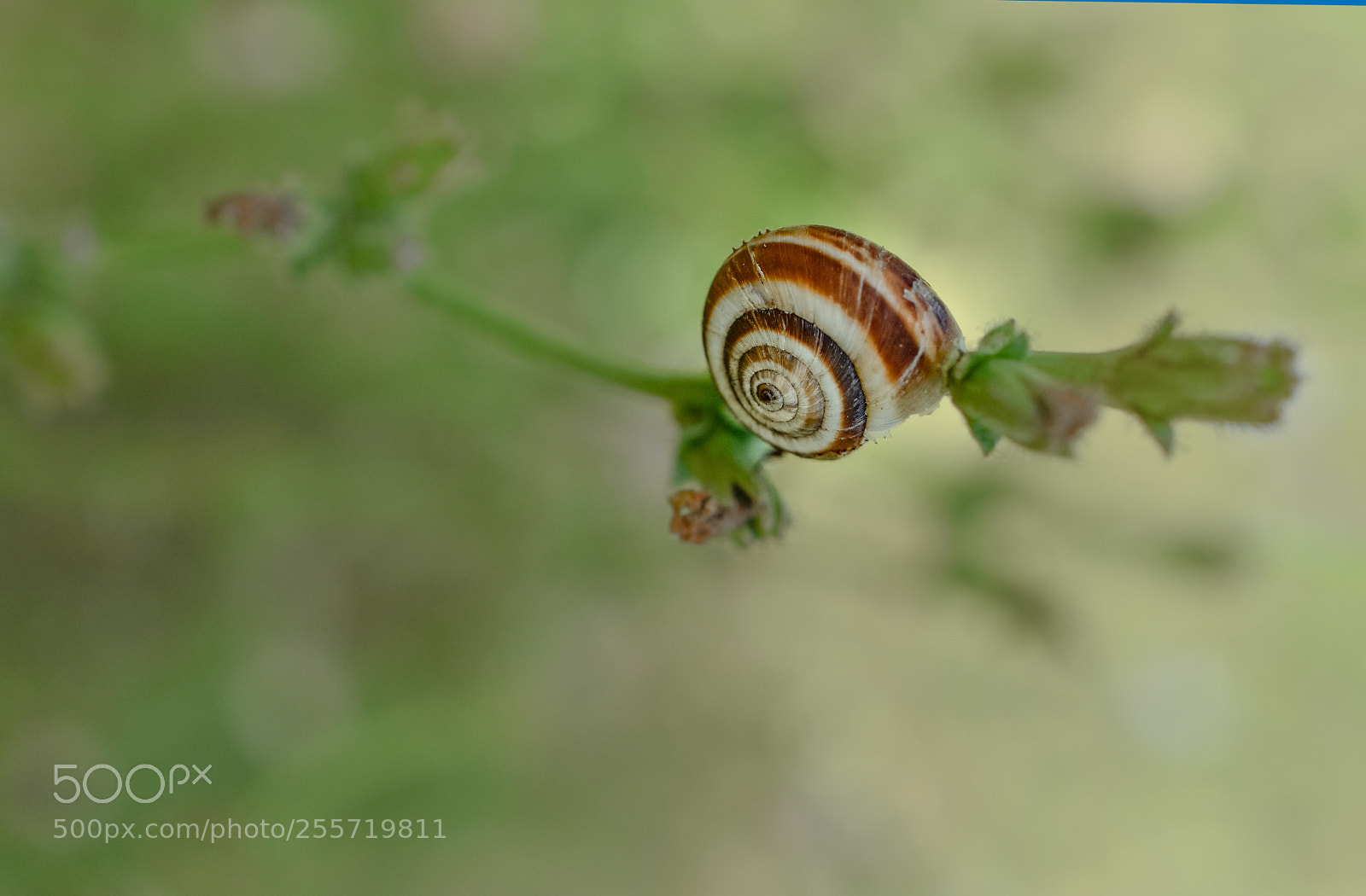 Nikon D7200 sample photo. Different photography
