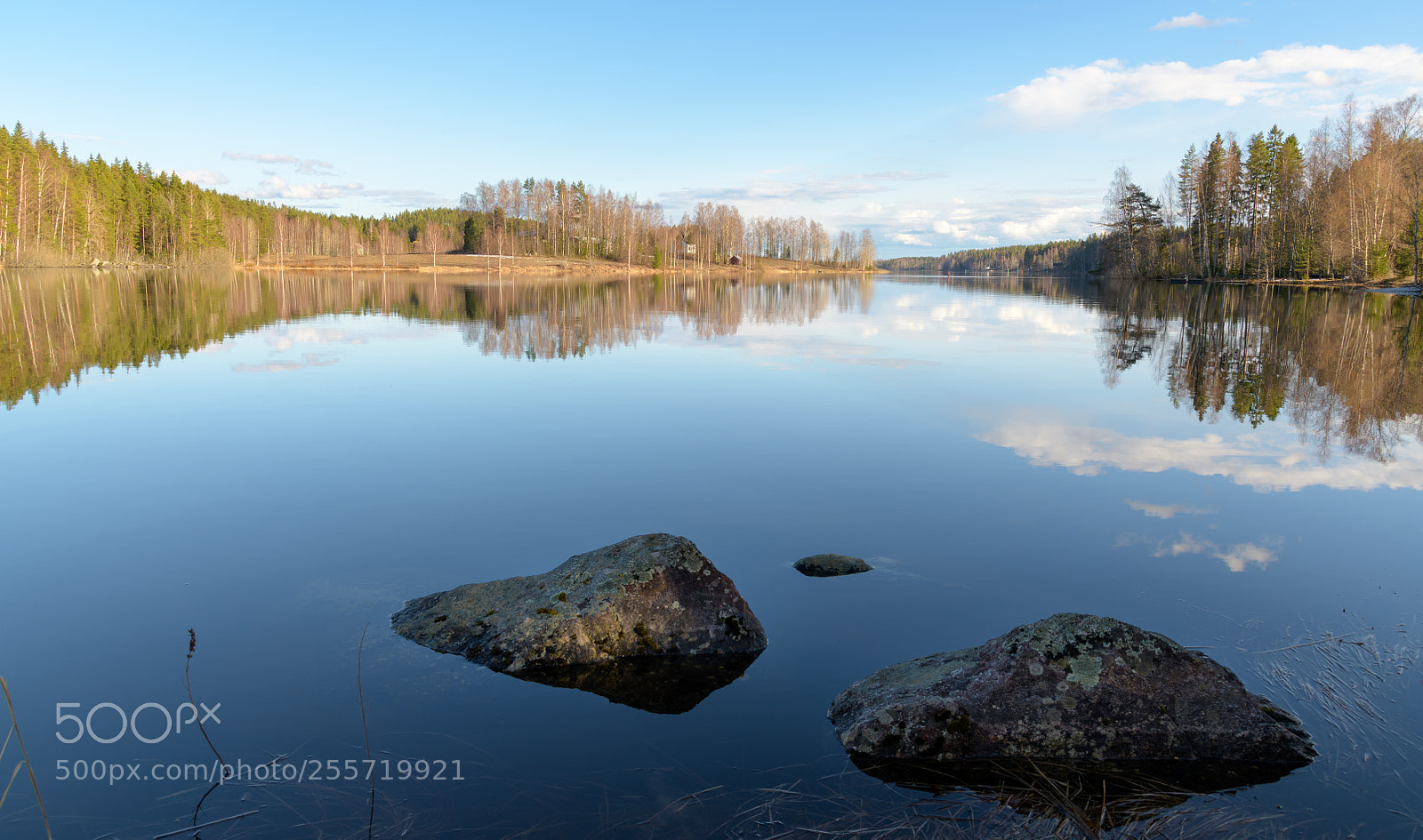 Nikon D850 sample photo. Calm lake in spring photography