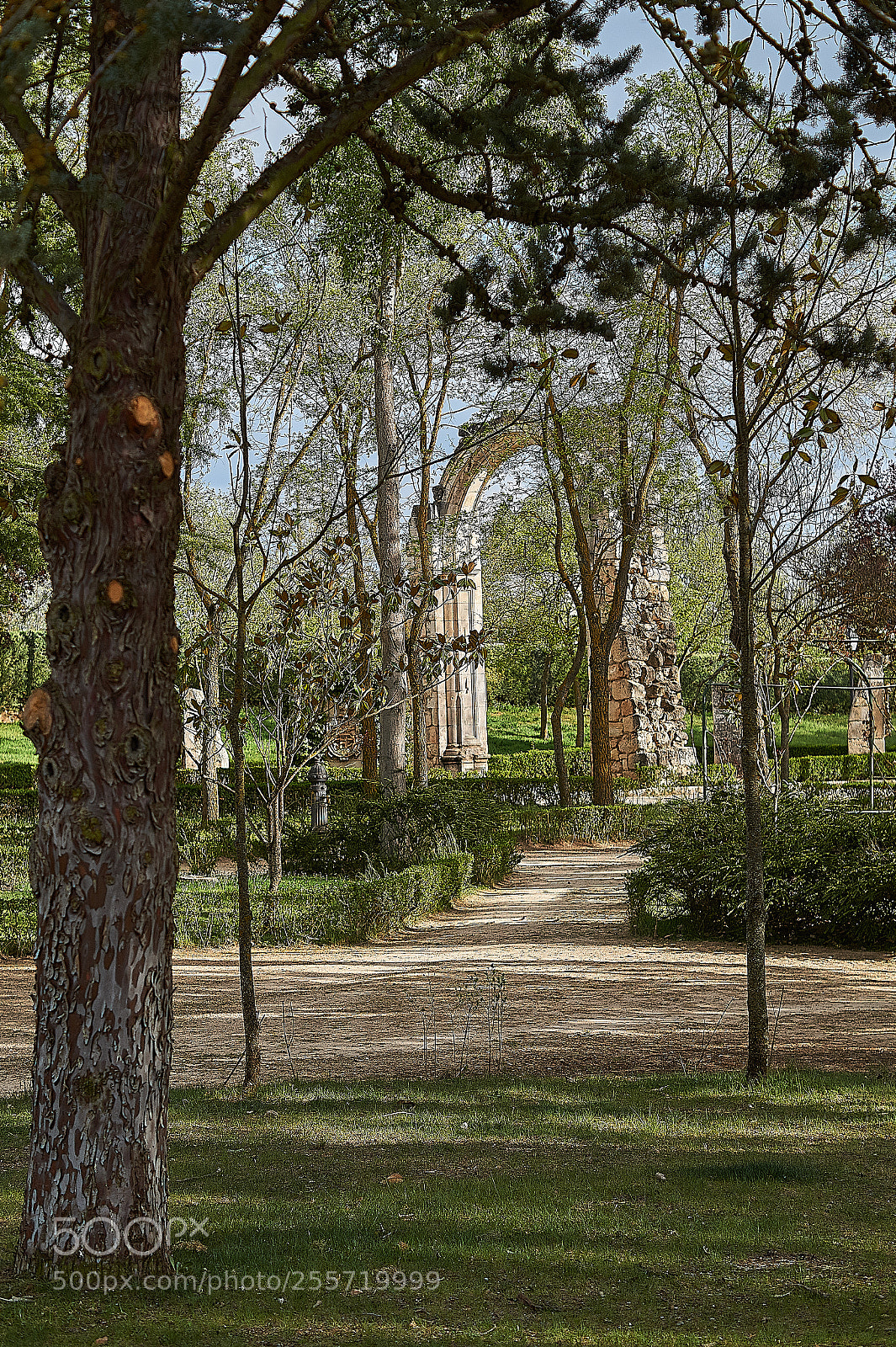 Sony SLT-A58 sample photo. Arco en el parque photography