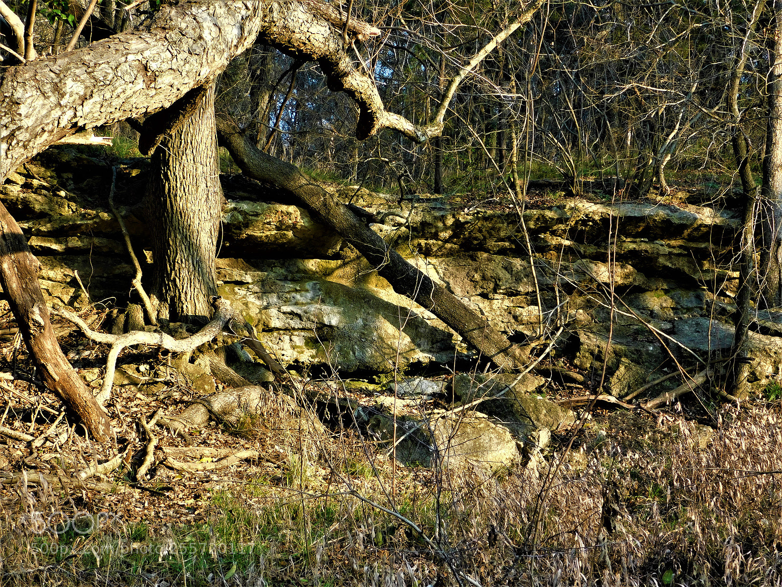 Nikon Coolpix B500 sample photo. () photography