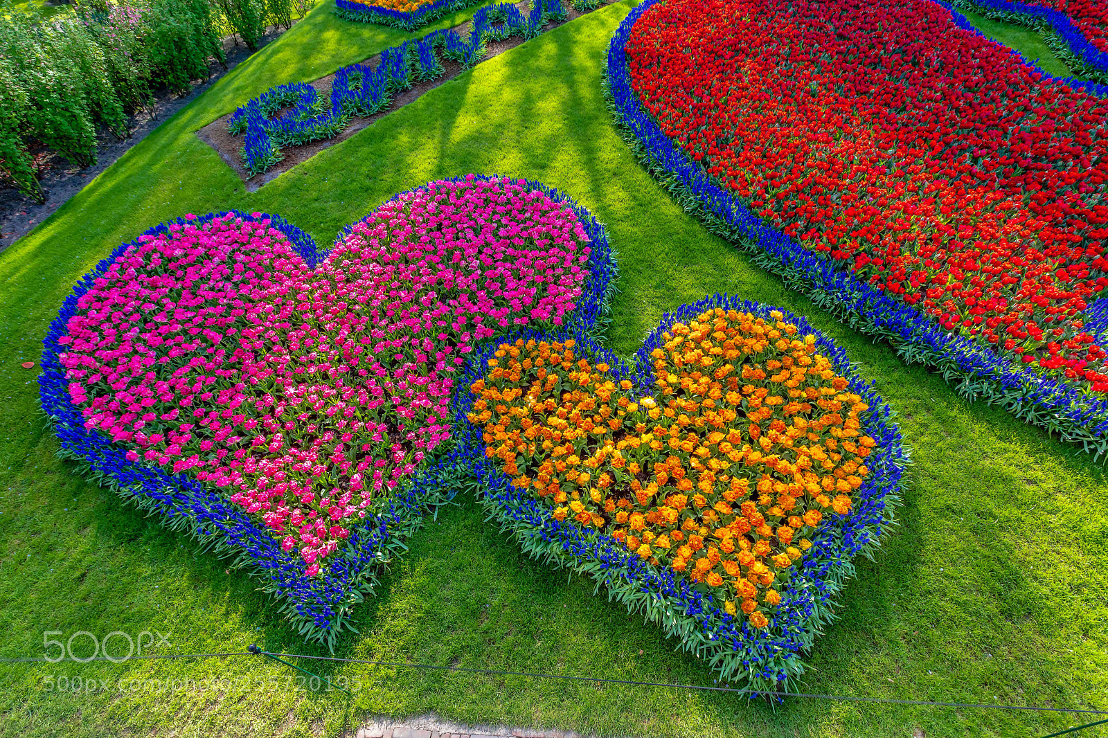 Canon EOS 5D Mark IV sample photo. Keukenhof photography