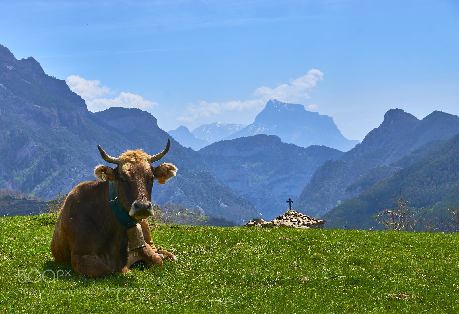 Sony a6000 sample photo. Pyrenean siesta photography