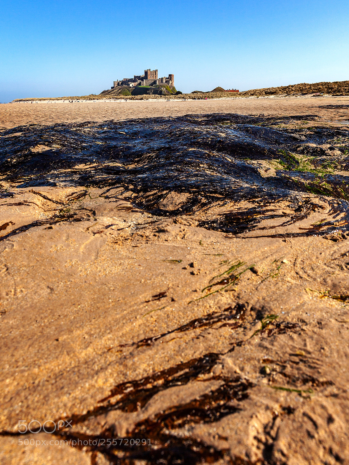 Canon EOS 5D Mark II sample photo. Bamburgh castle photography