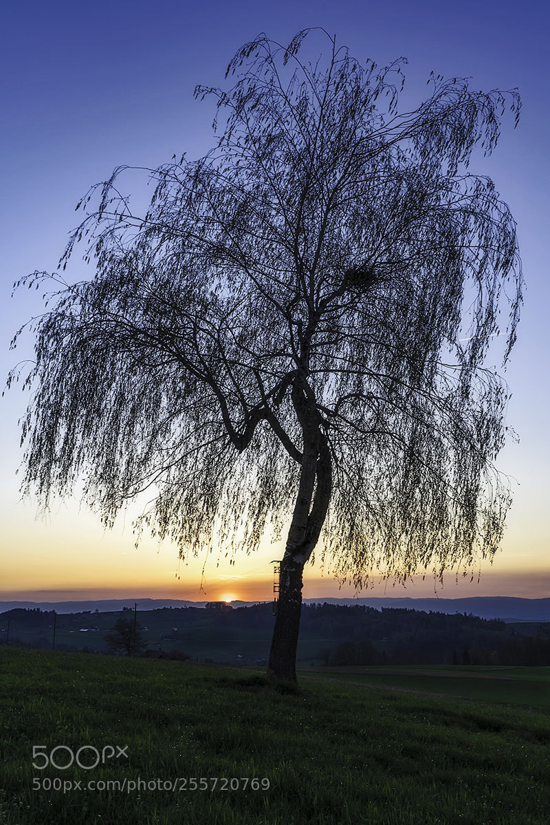Sony a99 II sample photo. And good night.... photography