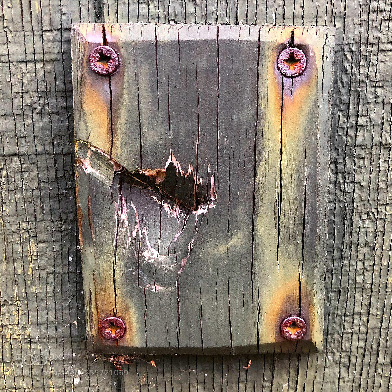 Apple iPhone 8 Plus sample photo. Old wood painted photography