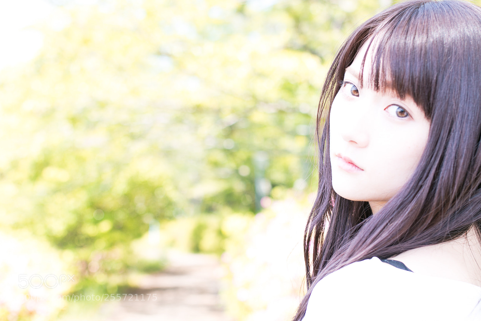 Canon EOS 70D sample photo. Green corridor photography