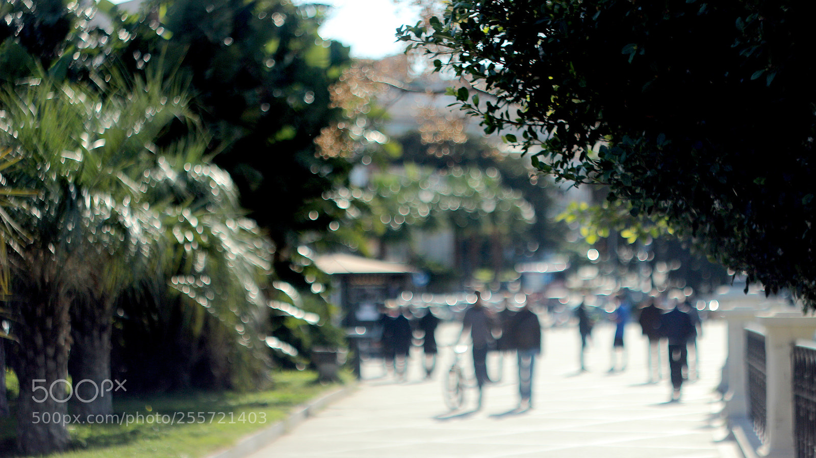 Canon EOS 600D (Rebel EOS T3i / EOS Kiss X5) sample photo. A () photography