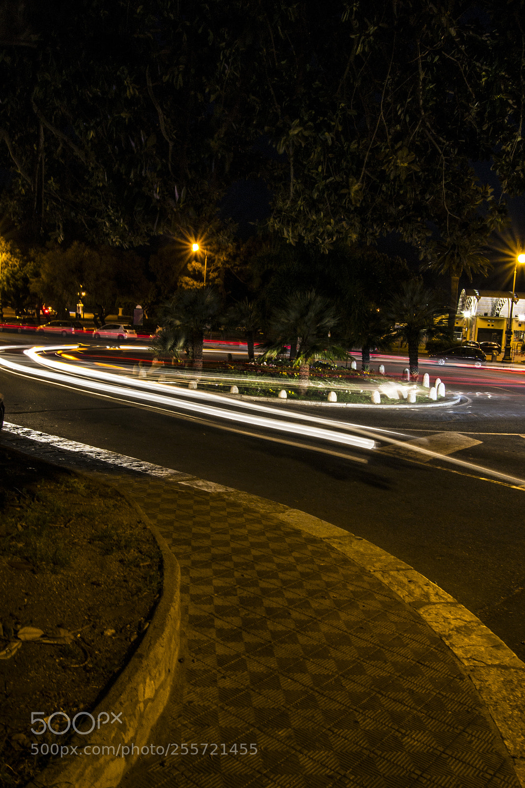 Nikon D3100 sample photo. B () photography