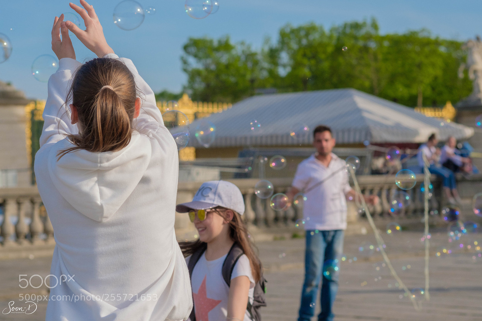 Fujifilm X-T20 sample photo. Dscf7803-3.jpg photography