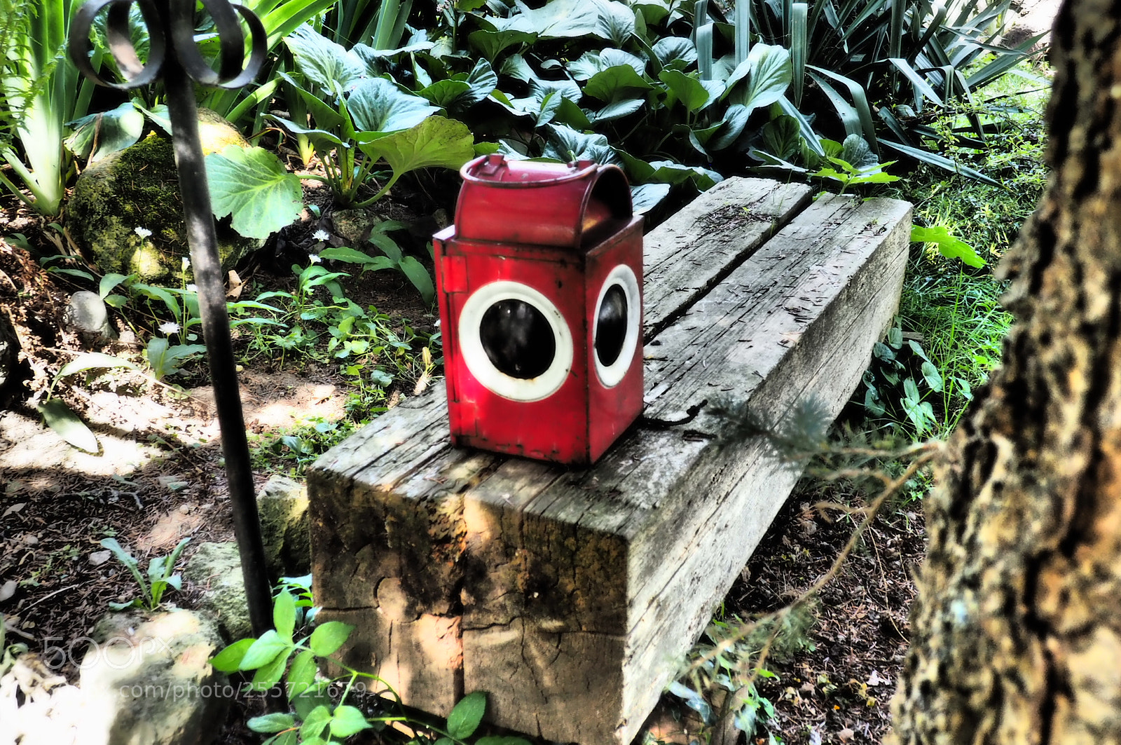 Olympus OM-D E-M10 II sample photo. Red lantern photography